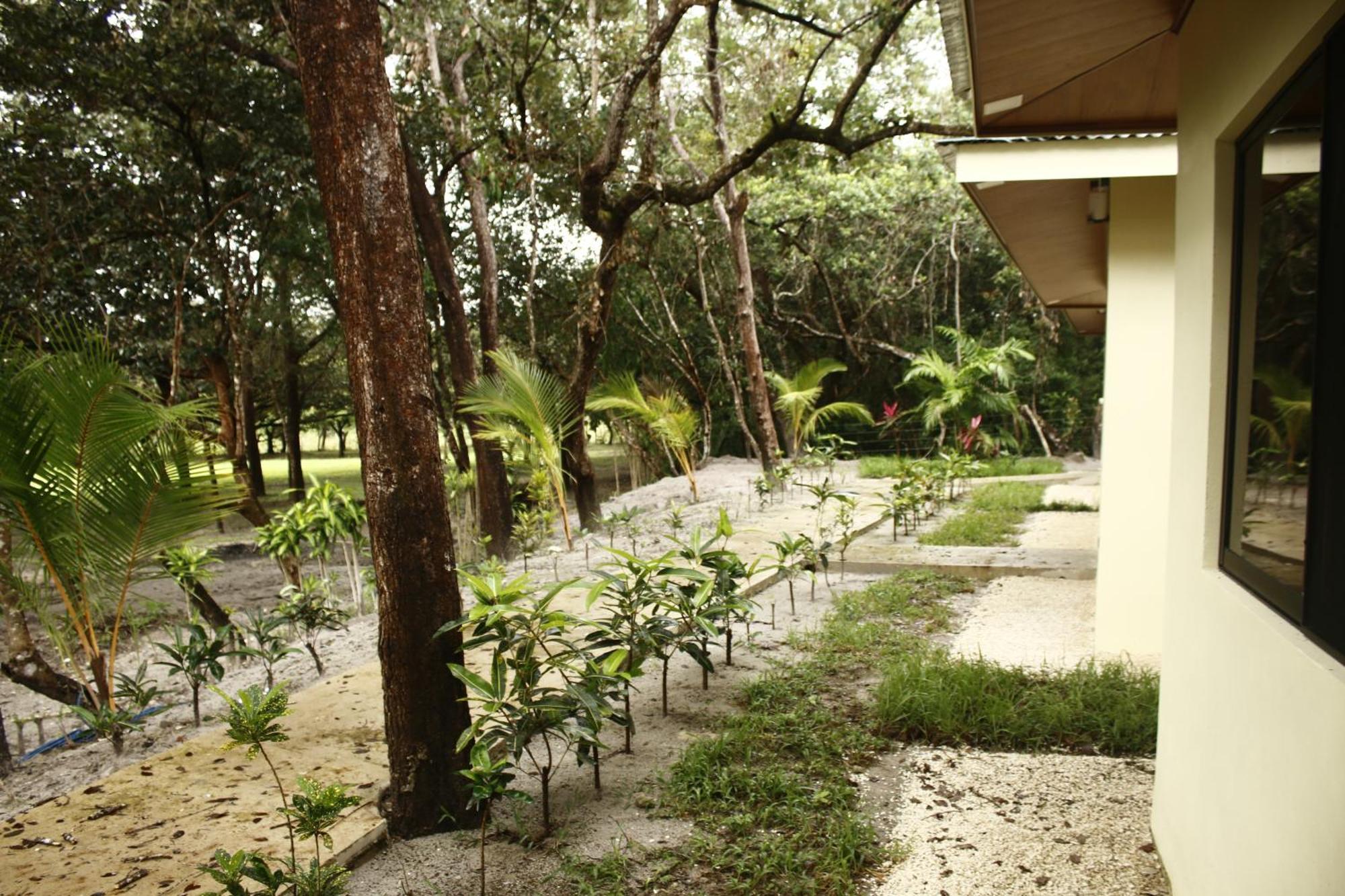 Canon De La Vieja Lodge ลิเบเรีย ภายนอก รูปภาพ