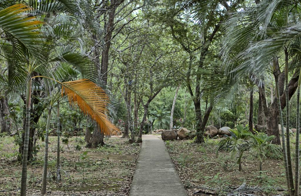 Canon De La Vieja Lodge ลิเบเรีย ภายนอก รูปภาพ